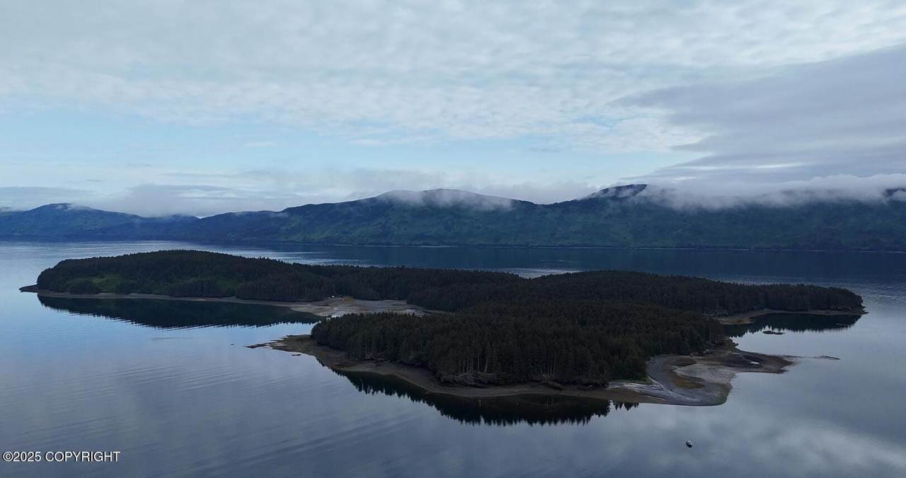 000 Dry Spruce Island - Photo 1