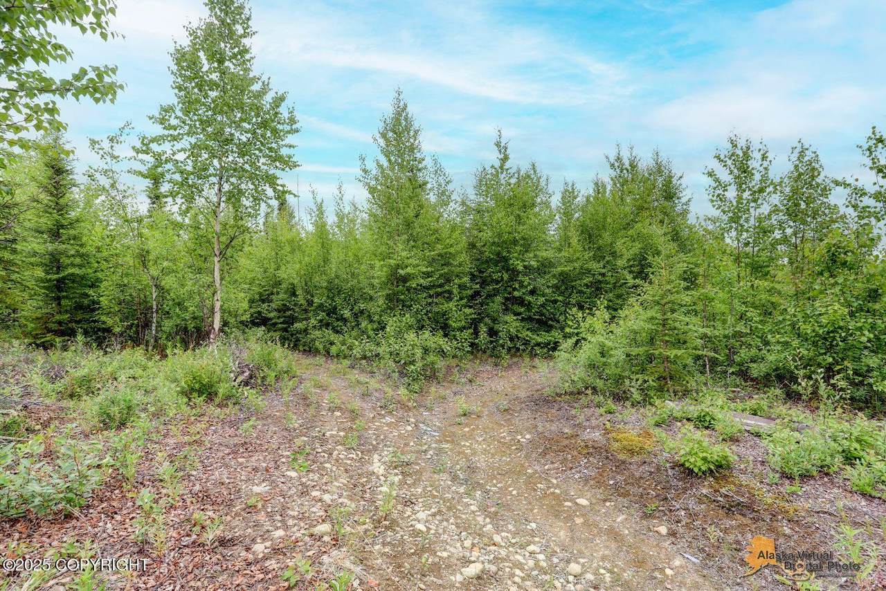 https://bt-photos.global.ssl.fastly.net/alaska/1280_boomver_1_25-8659-2.jpg