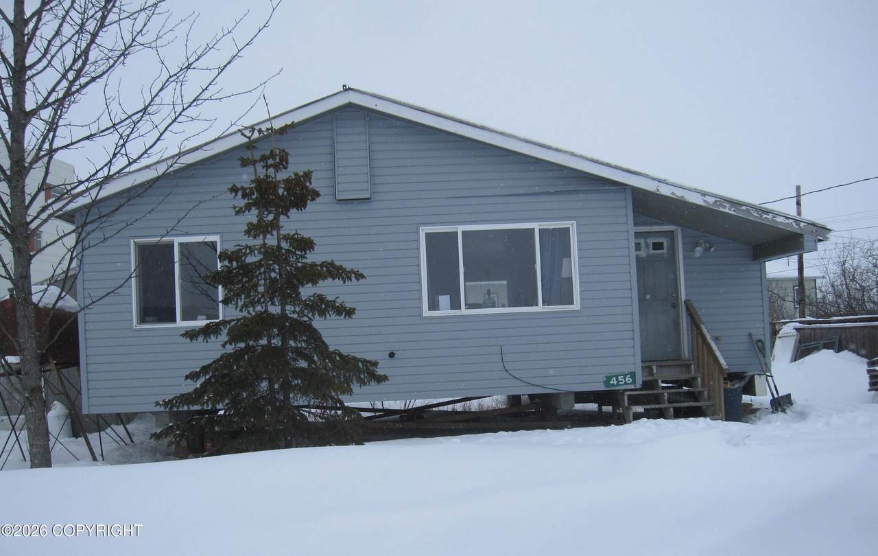 456 Napakiak Drive - Photo 1