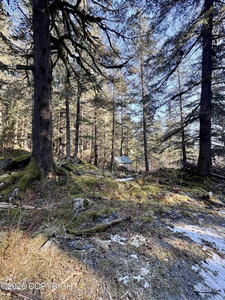 https://bt-photos.global.ssl.fastly.net/alaska/1280_boomver_1_26-3208-2.jpg