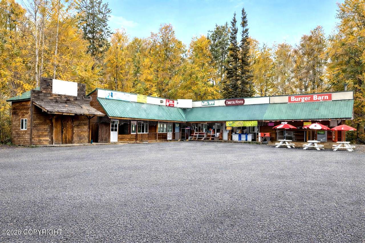 22336 Talkeetna Spur Road - Photo 1