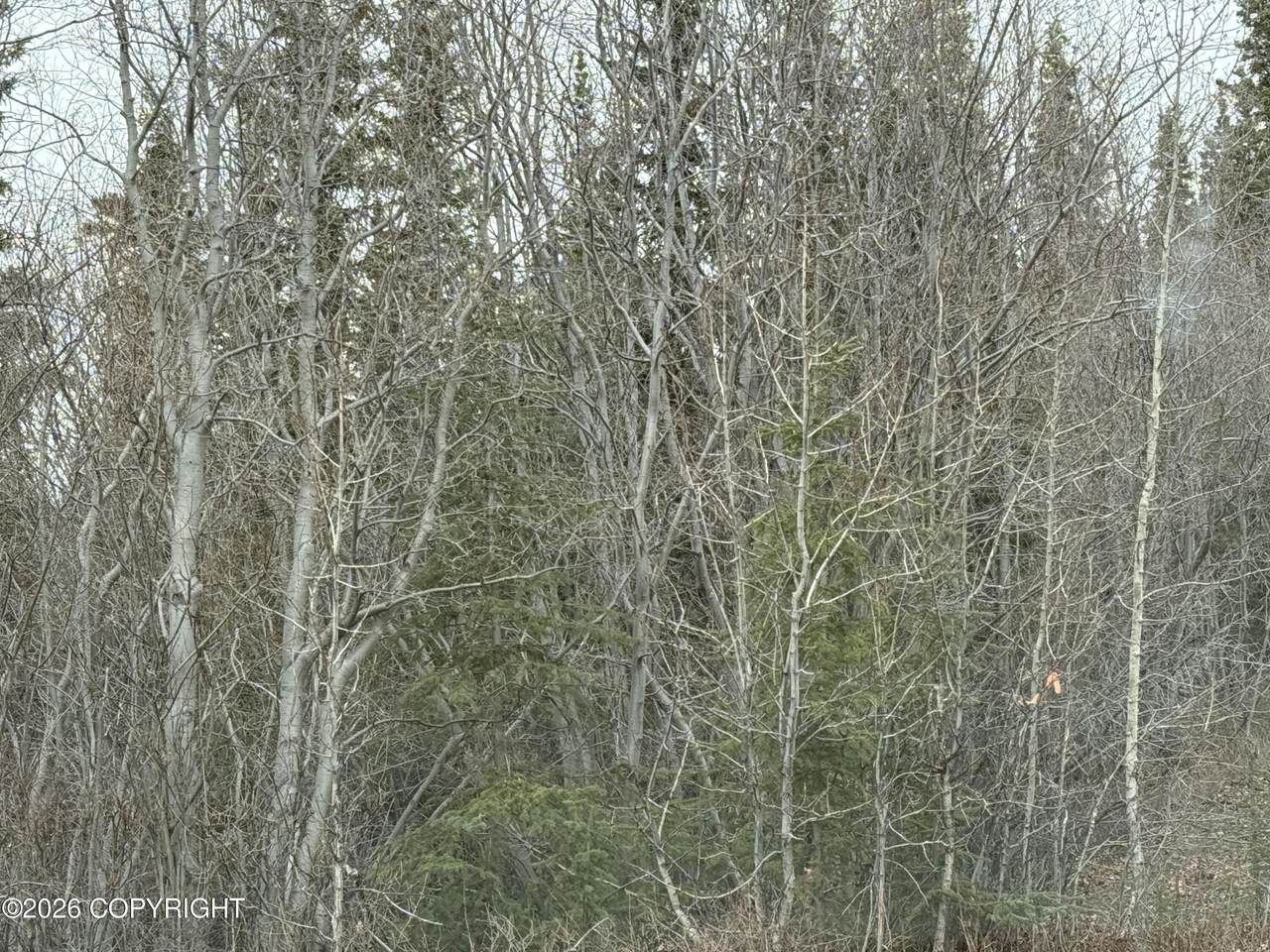 https://bt-photos.global.ssl.fastly.net/alaska/orig_boomver_1_26-4591-2.jpg