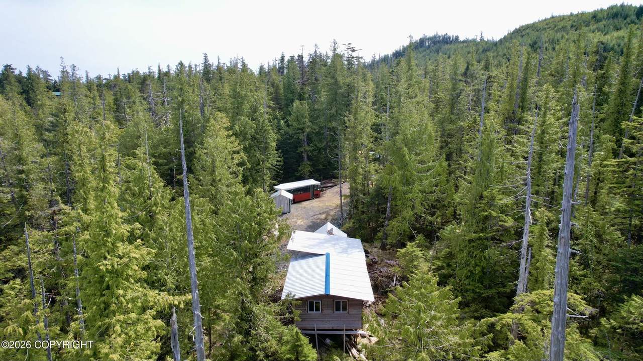 313 Bowhead Loop - Photo 1