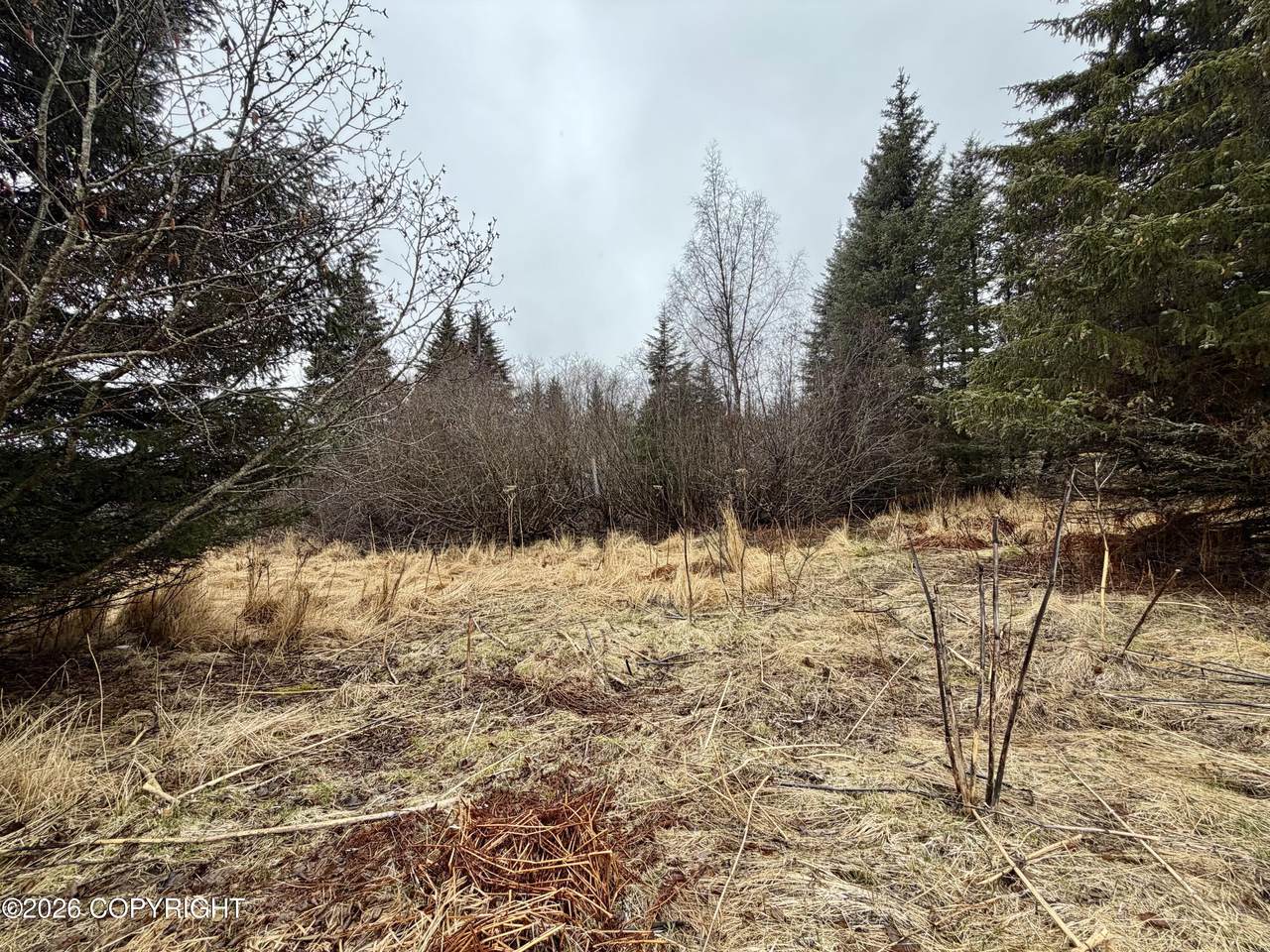https://bt-photos.global.ssl.fastly.net/alaska/1280_boomver_1_26-5305-2.jpg