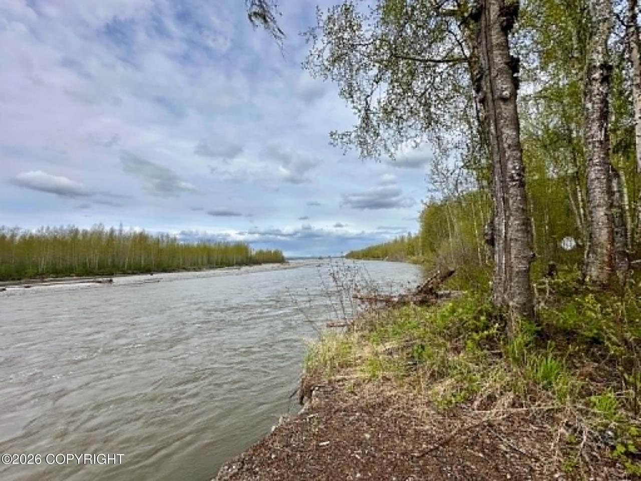 23240 Talkeetna Spur Road - Photo 1