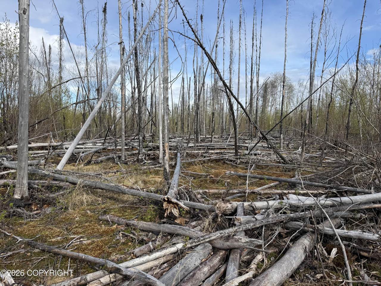 https://bt-photos.global.ssl.fastly.net/alaska/1280_boomver_1_26-6470-2.jpg