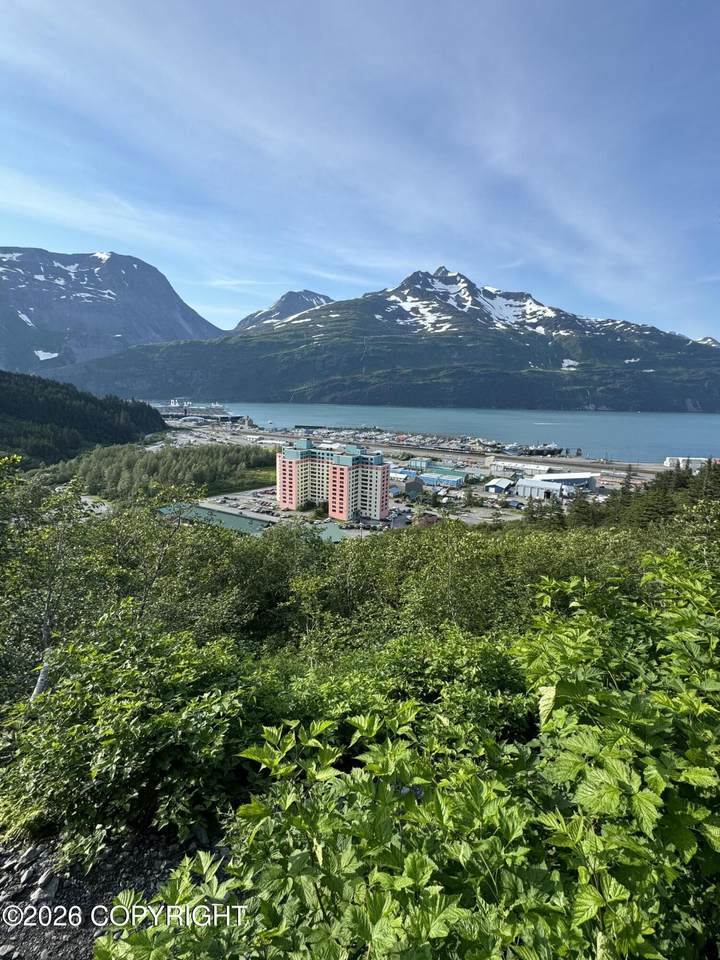100 Kenai Street - Photo 1