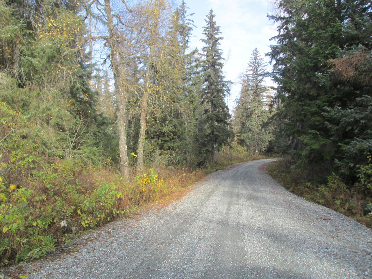 000 Eagle Bluff Drive - Photo 1