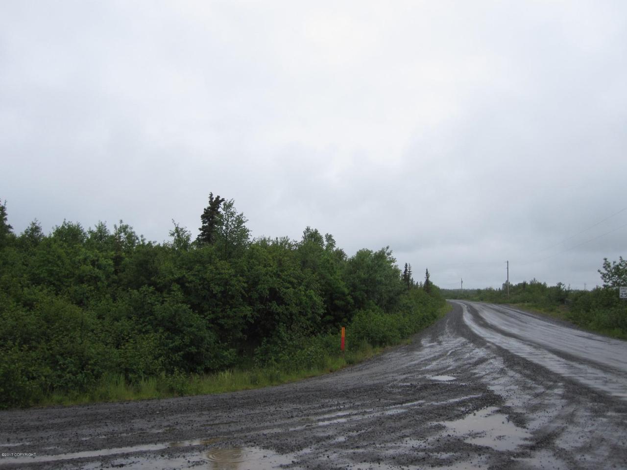 L7 B3 King Salmon Creek Acres - Photo 1