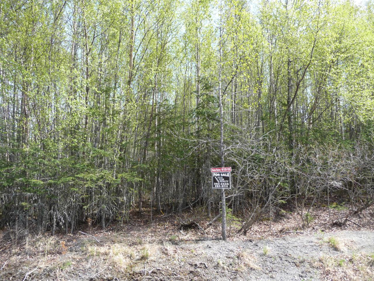 51060 Ramona Road - Photo 1