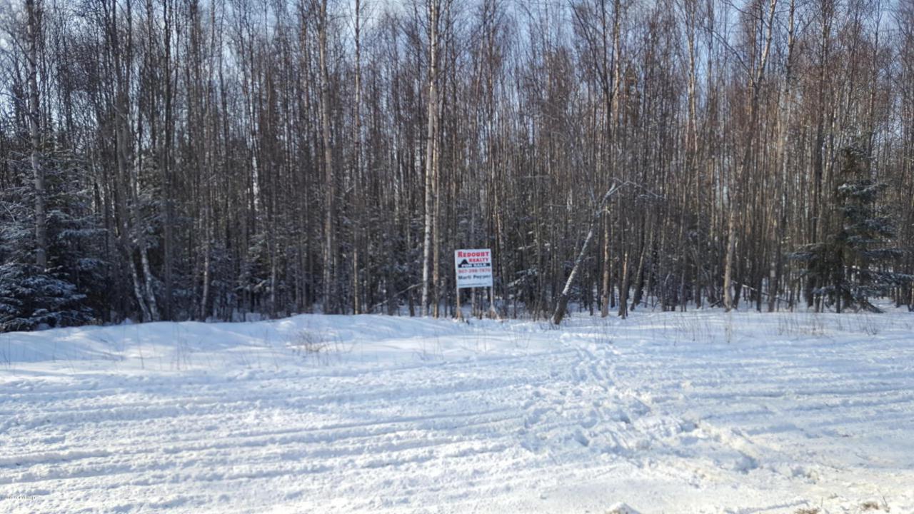 000 Kenai Spur Highway - Photo 1