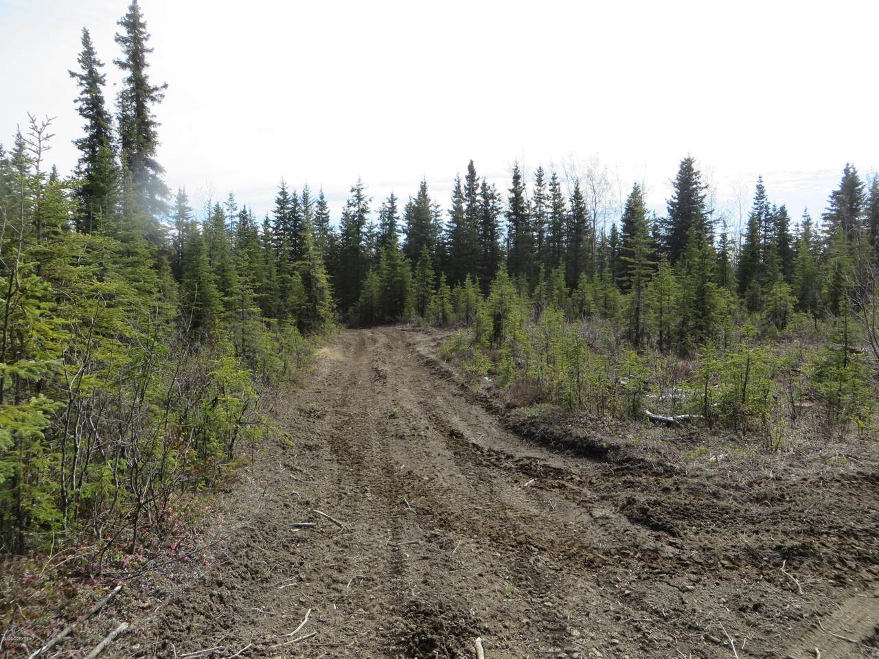 52349 Creek End Road - Photo 1 52349 Creek End Road - Photo 1