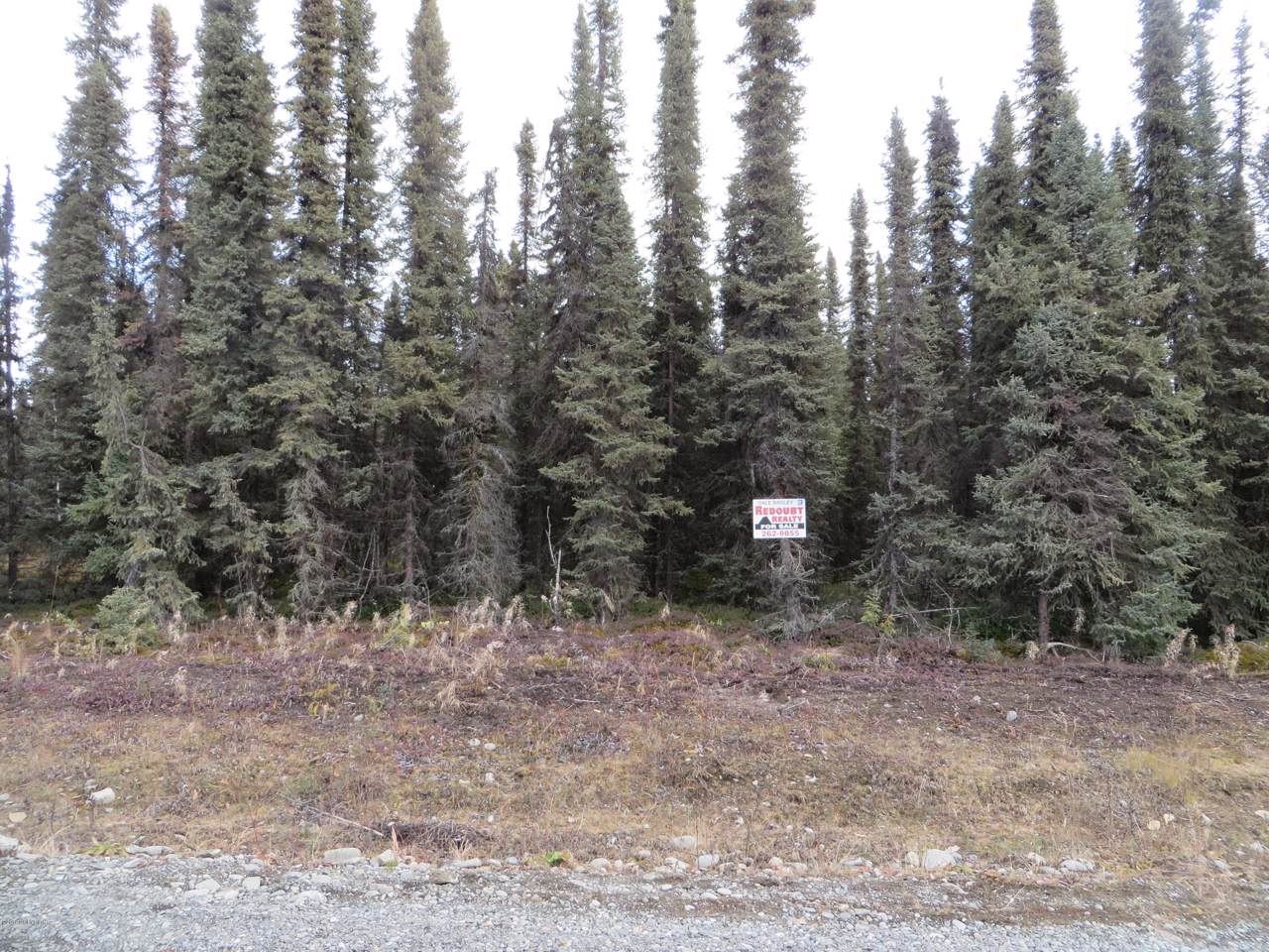 L5 B2 Chinook Street - Photo 1