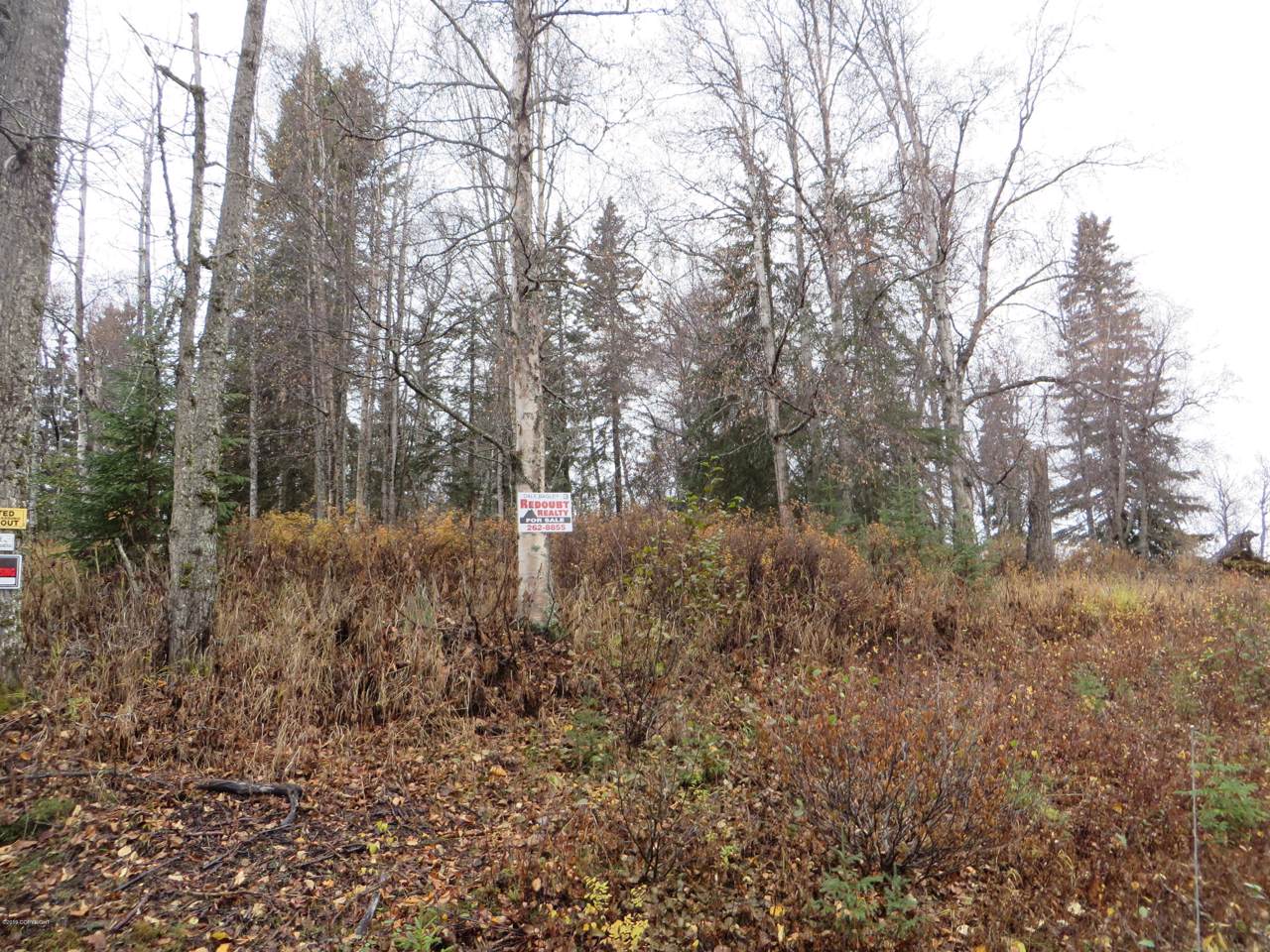 1006 Second Street - Photo 1