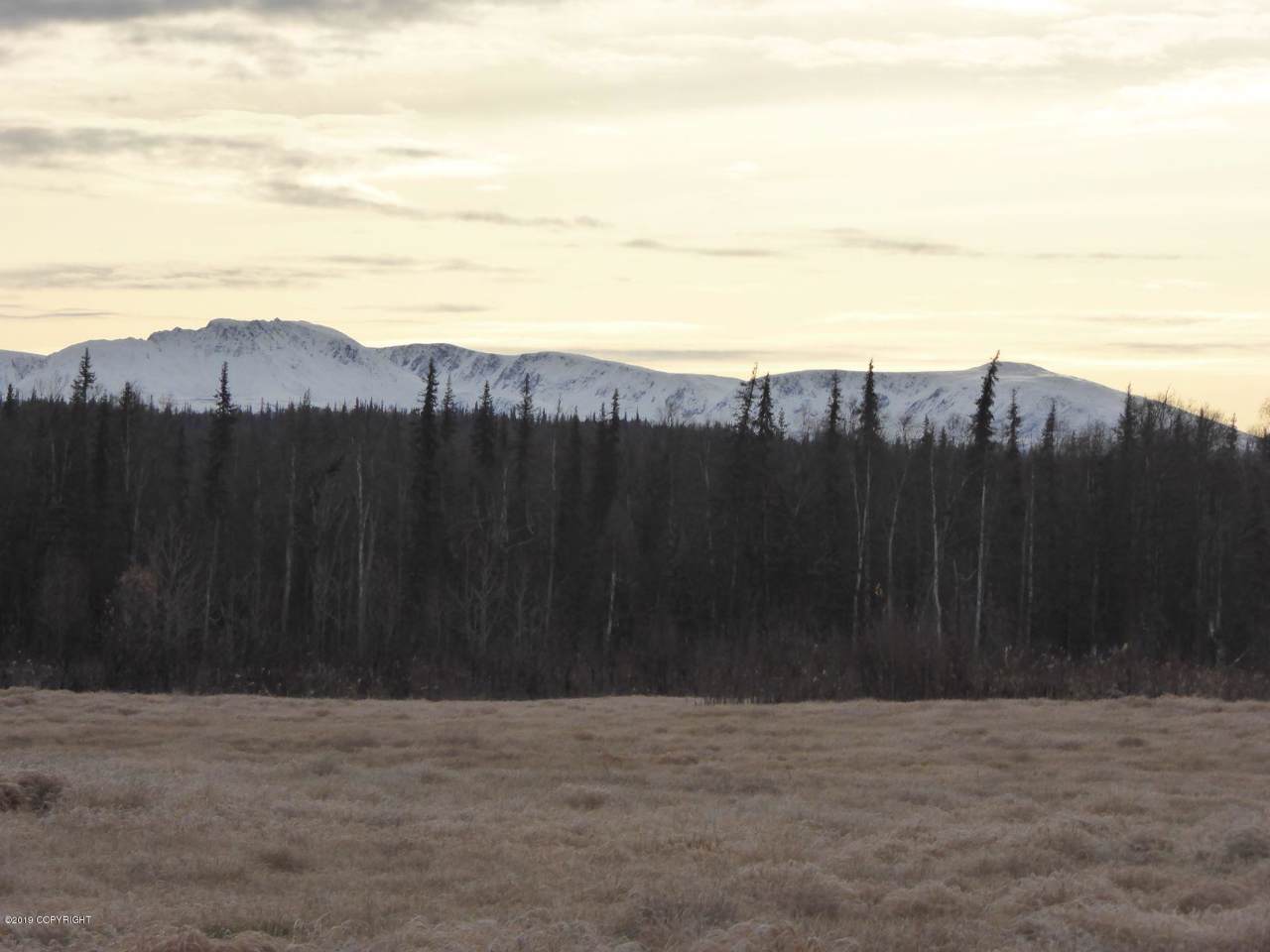 29755 Mastodon Road - Photo 1