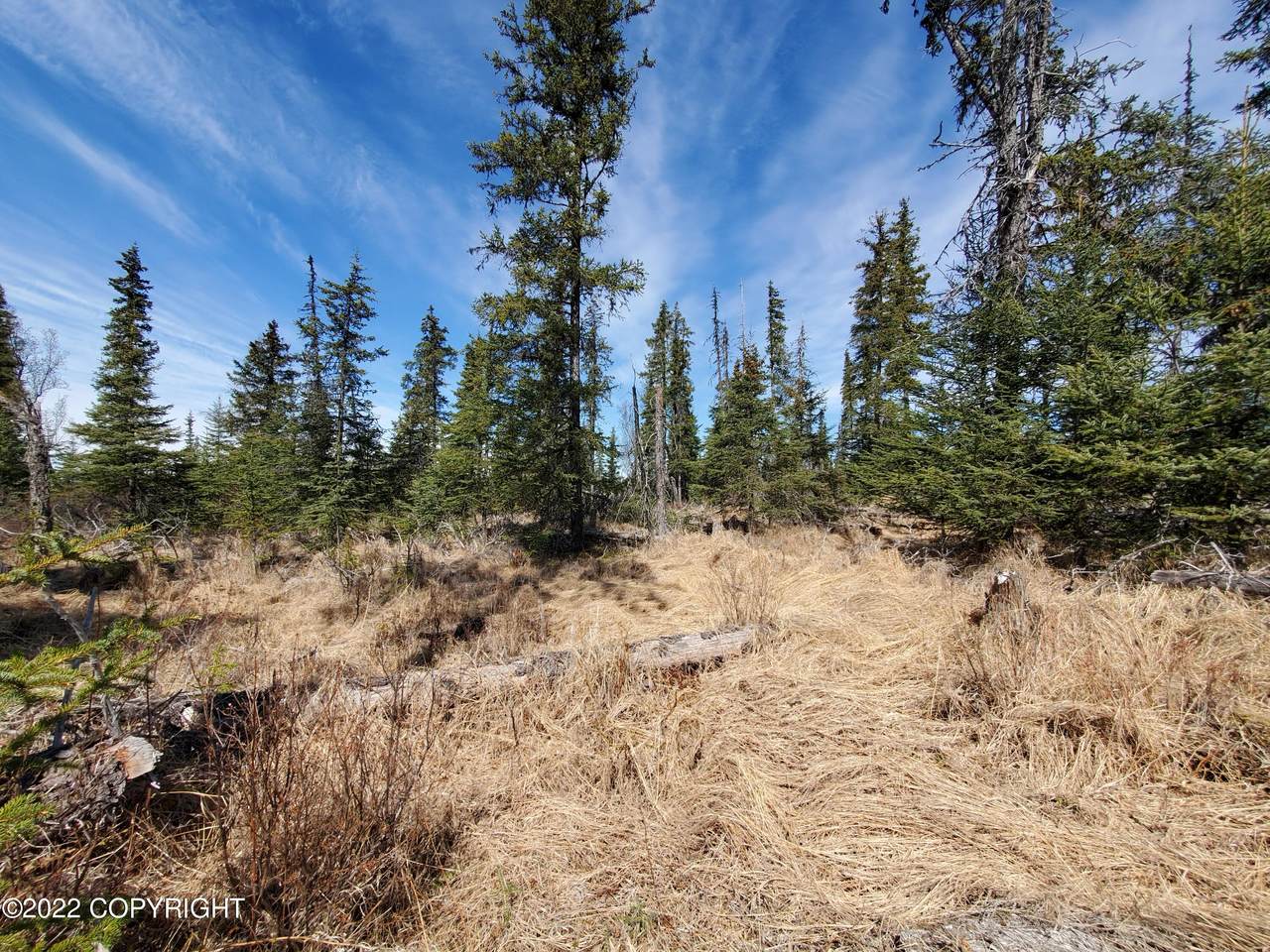 NSN Tract 14-B - Photo 1