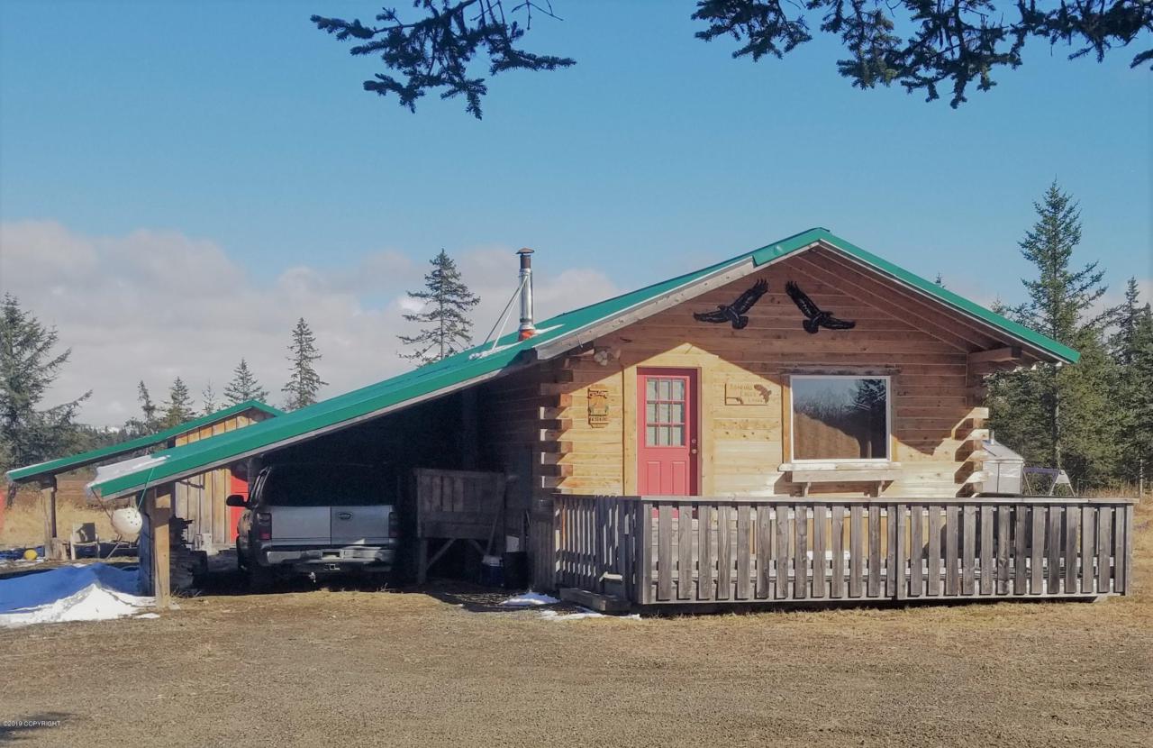 26750 Sterling Highway - Photo 1