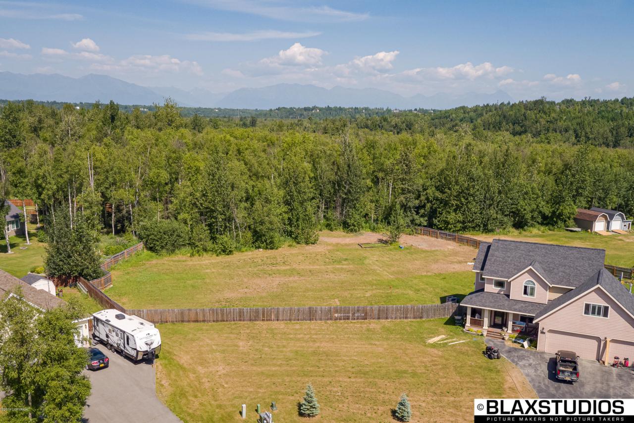 2723 Pullet Circle - Photo 1