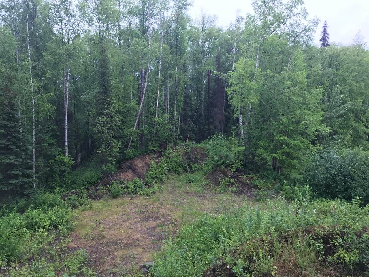 17831 Marion Drive - Photo 1