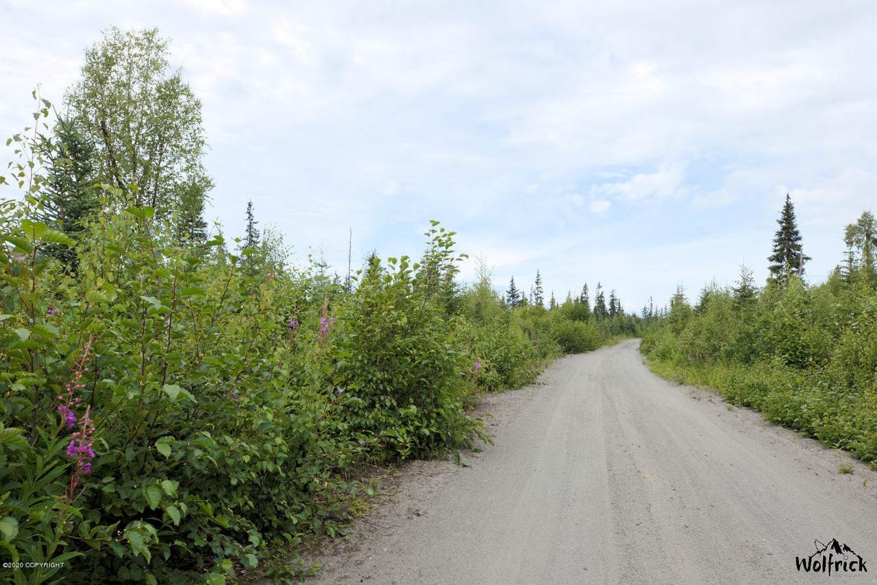 D18 Alaskan Wildwood Ranch(R) - Photo 1