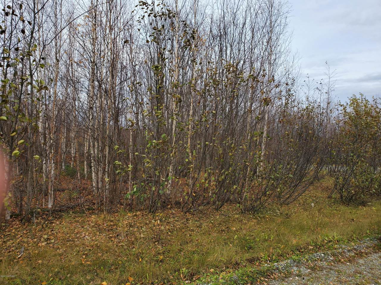 834 Lilly Drive - Photo 1