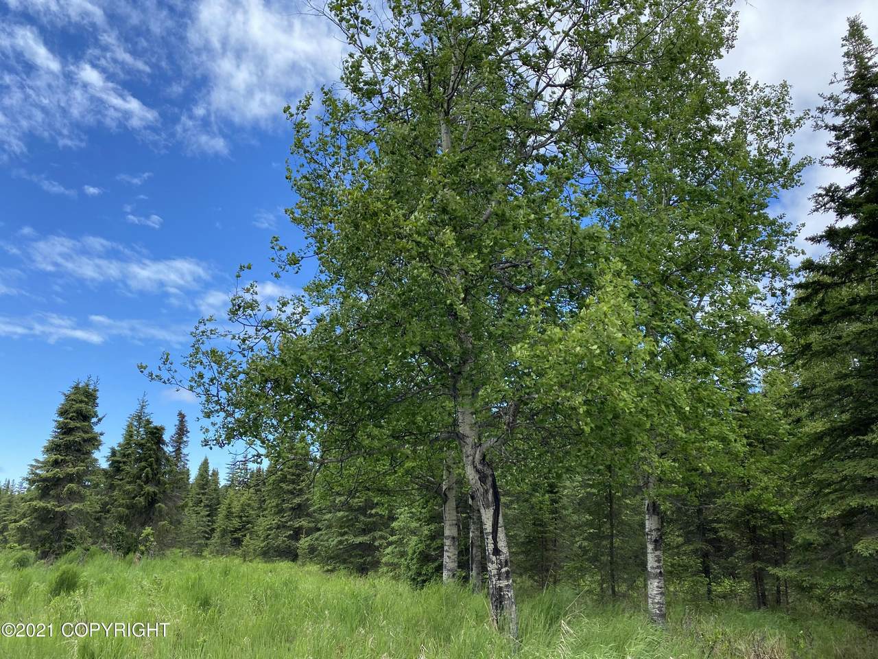 0003 East Redoubt - Photo 1