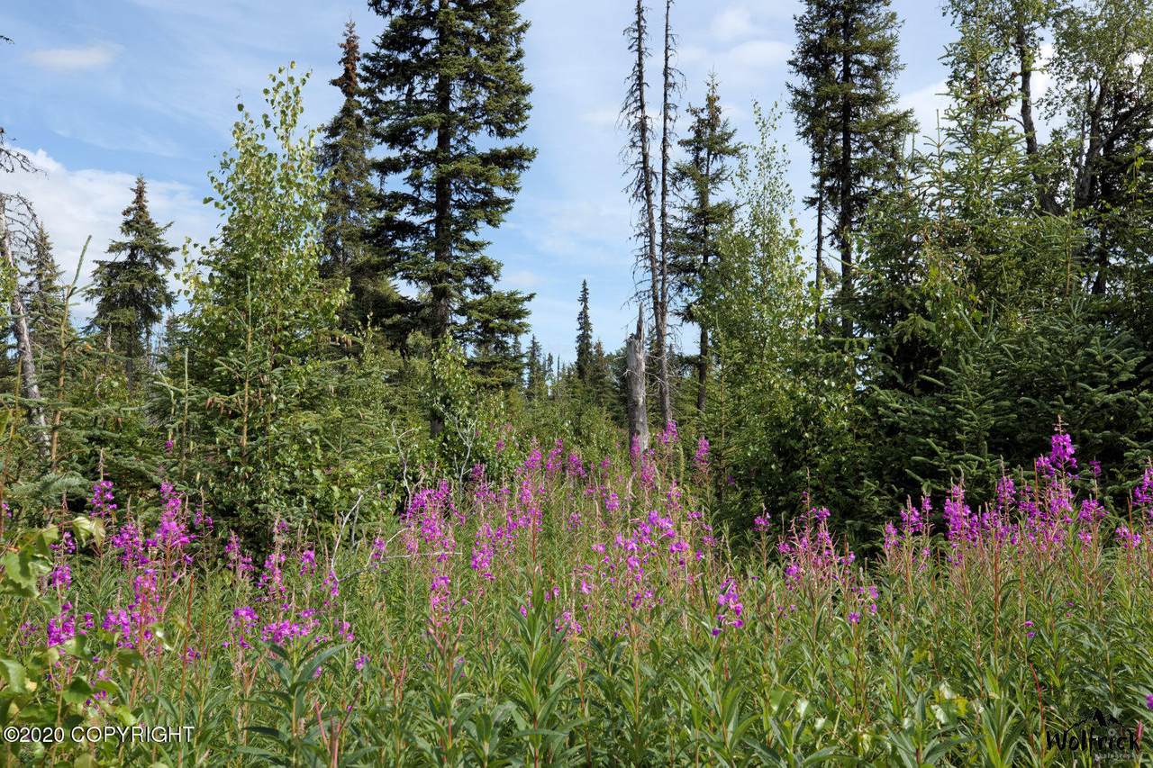 D24 Alaskan Wildwood Ranch(R) - Photo 1