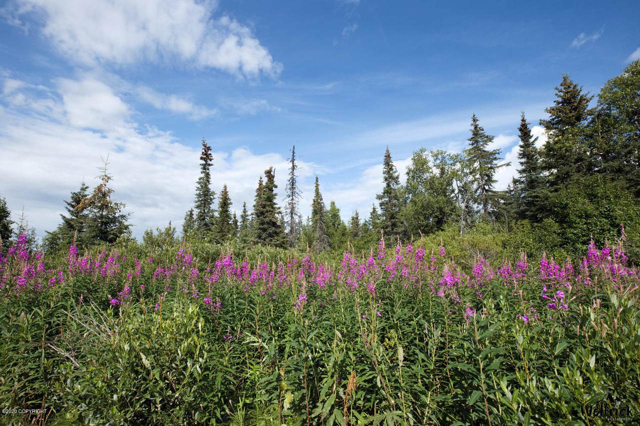 C3 Alaskan Wildwood Ranch(R) - Photo 1