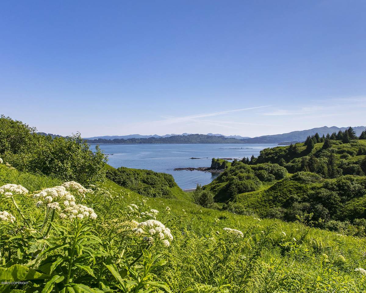 L5 Cliffs-Cliff Point Estates - Photo 1