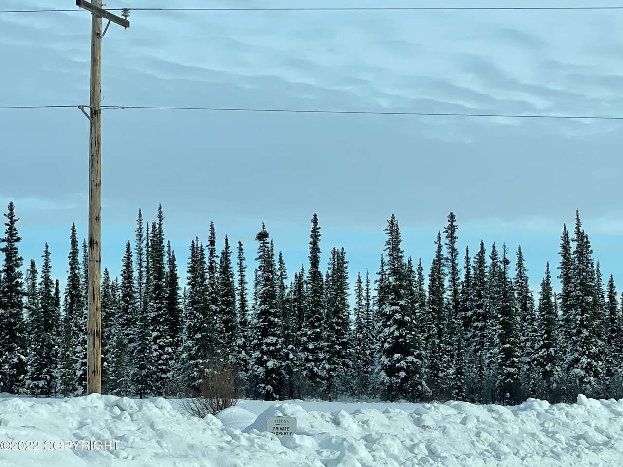 Mi 115 Richardson Highway - Photo 1