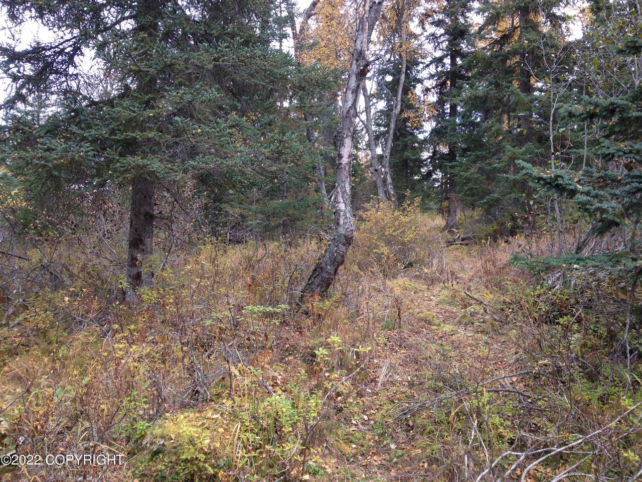 Tr15 Tomski Avenue - Photo 1
