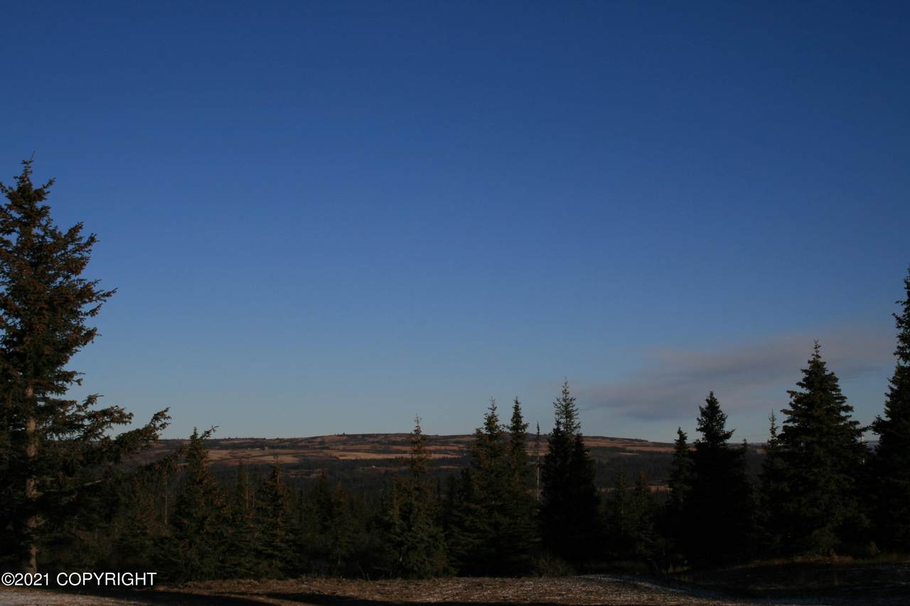 L2 Mossberry - Photo 1