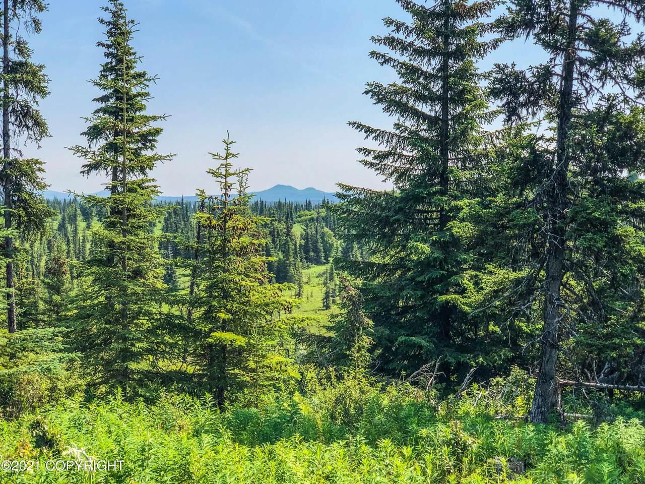 22272 Creek View Road - Photo 1