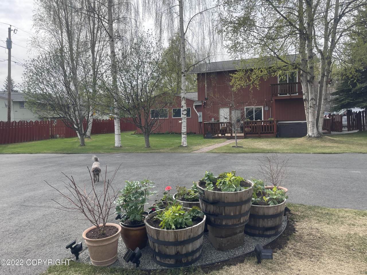 3909 Cope Street - Photo 1