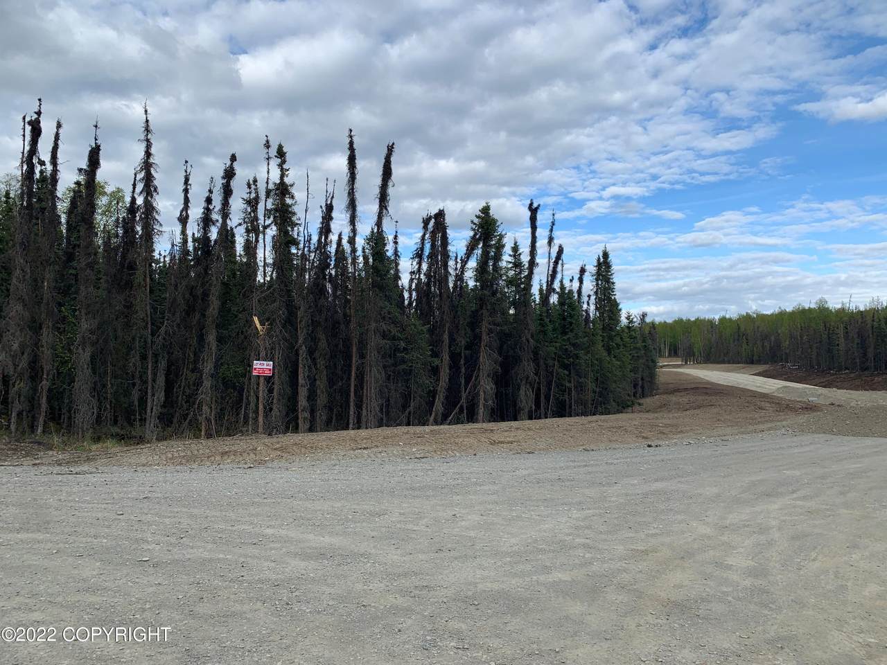 5203 Kelsi Loop - Photo 1