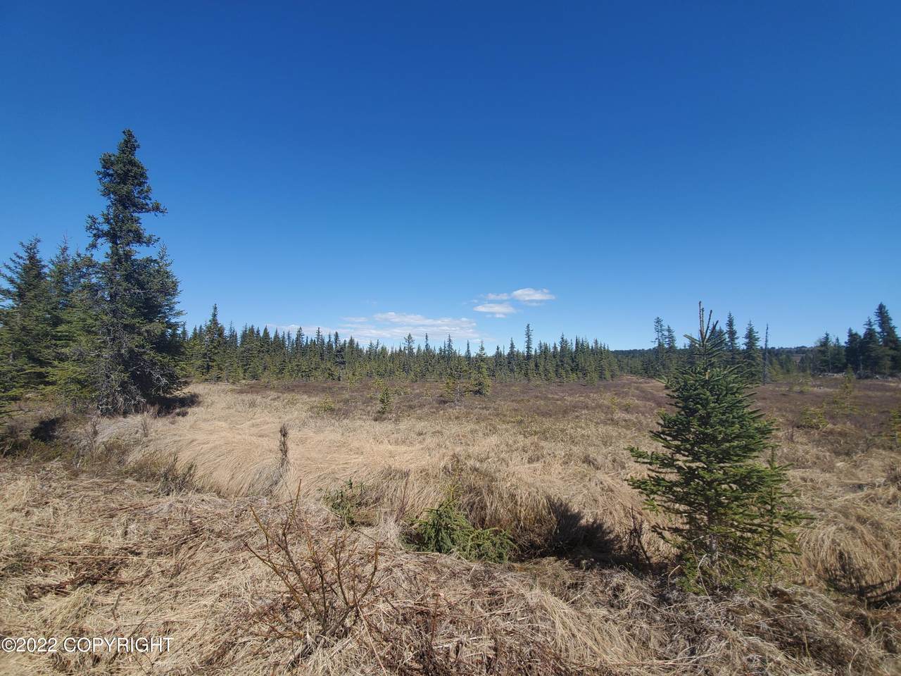 TR 32 Salmon Heights - Photo 1