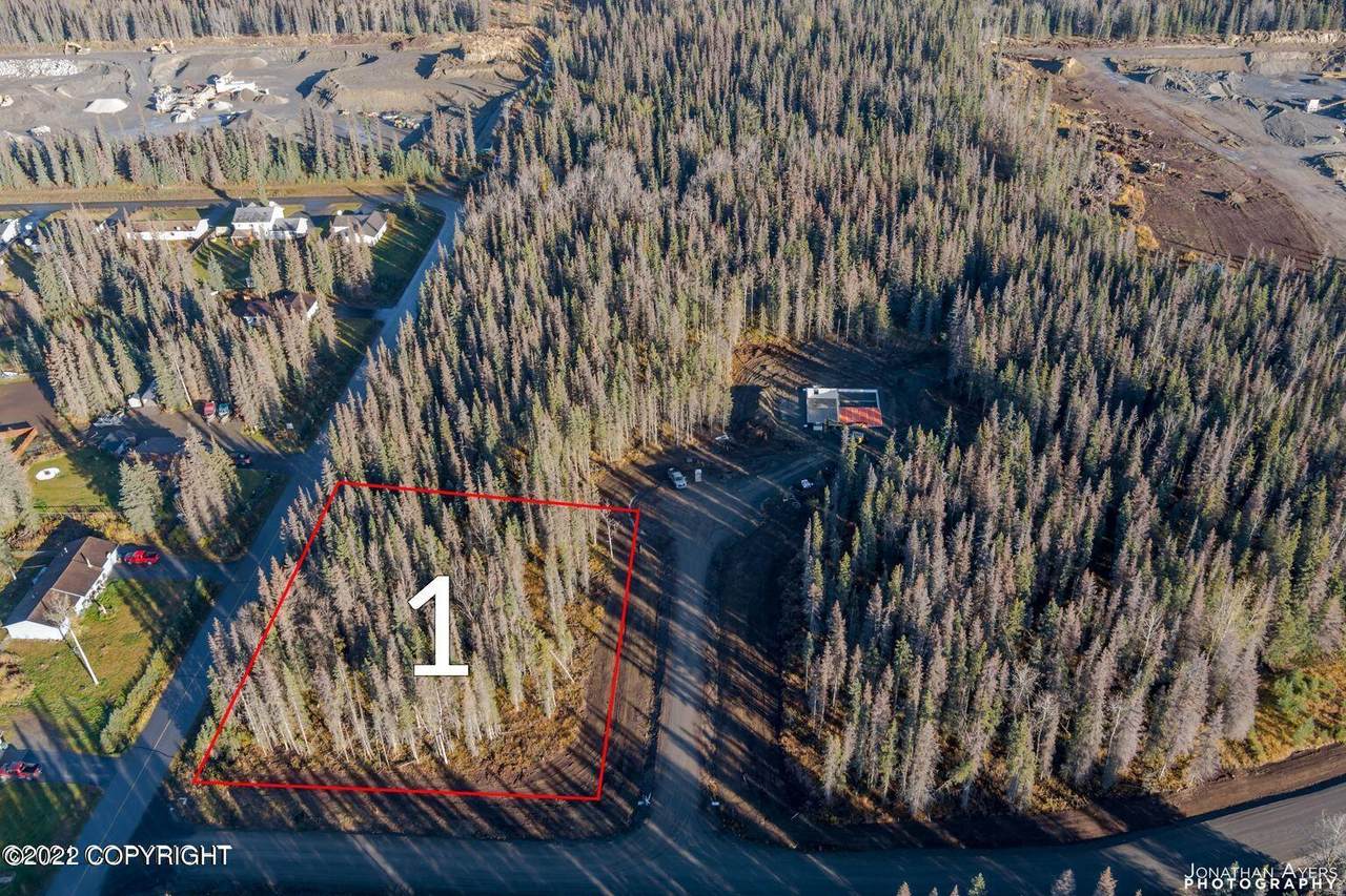 L1 Adoniah Circle - Photo 1