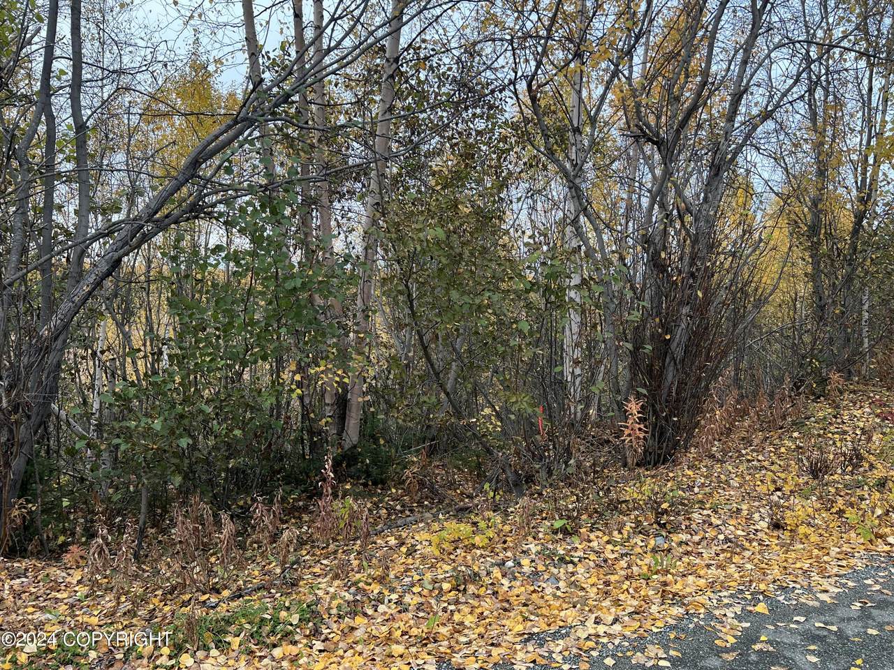 4916 S Horseshoe Lake Road - Photo 1