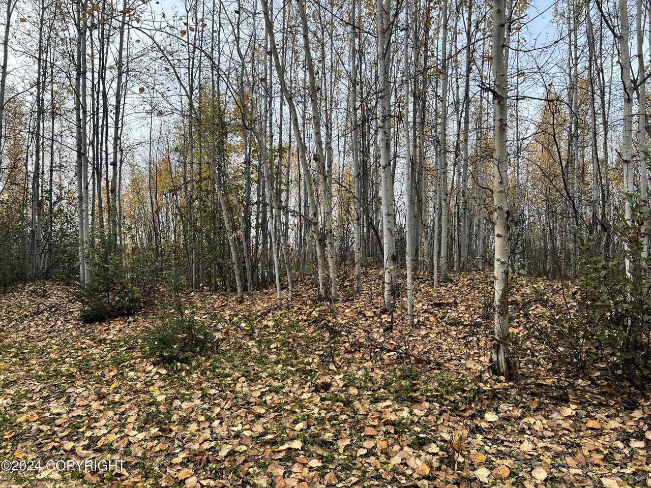 Tr A Horseshoe Lake Road - Photo 1