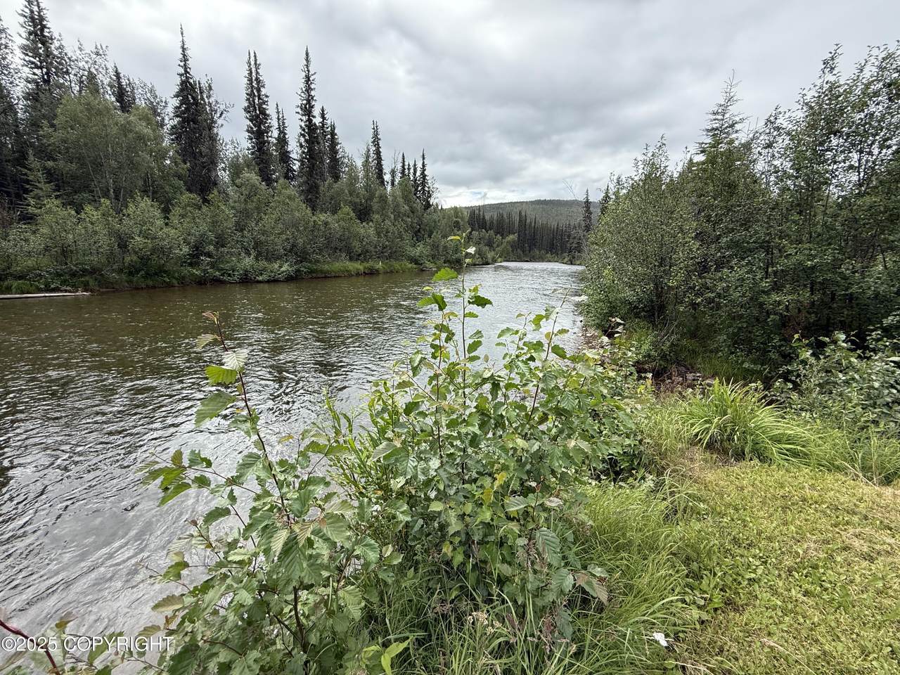 8721 Steese Highway - Photo 1