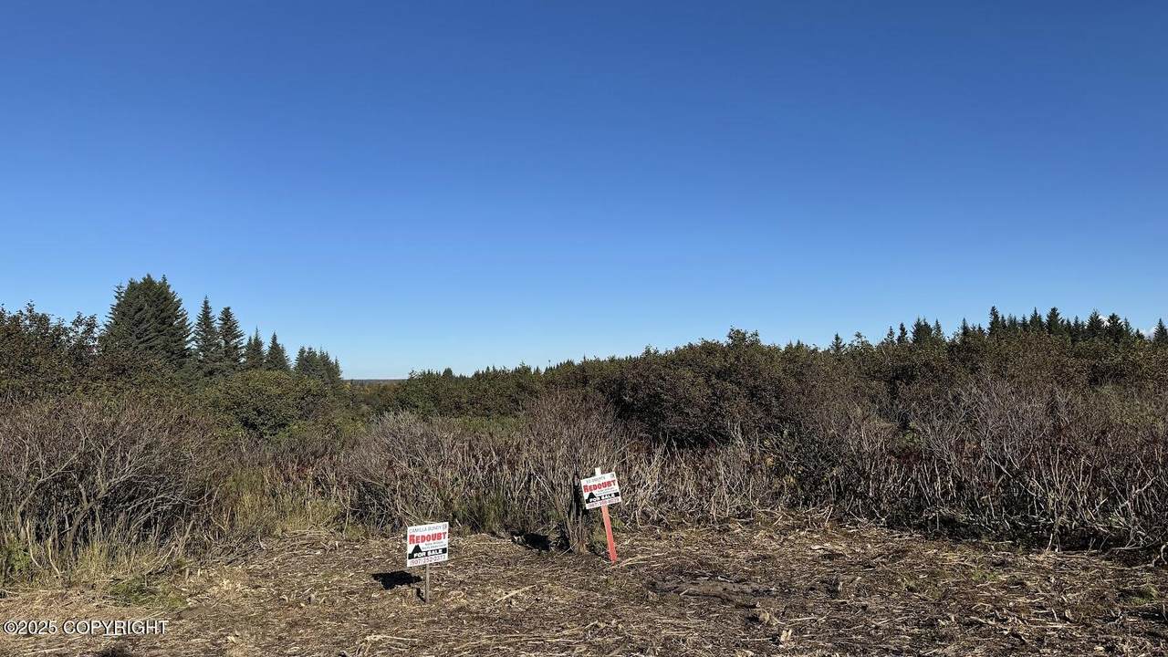 17338 Tidal Knoll Road - Photo 1