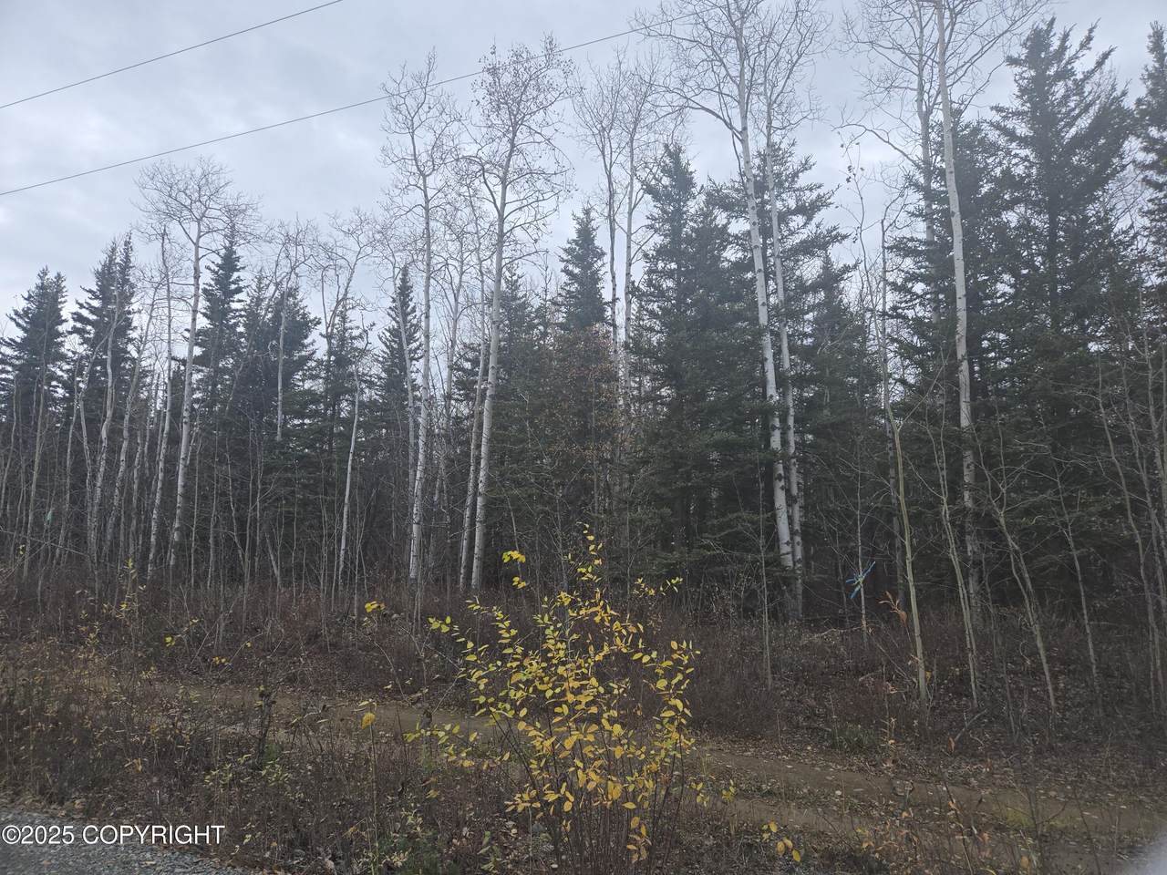 L3 B1 Brenden Boulevard - Photo 1