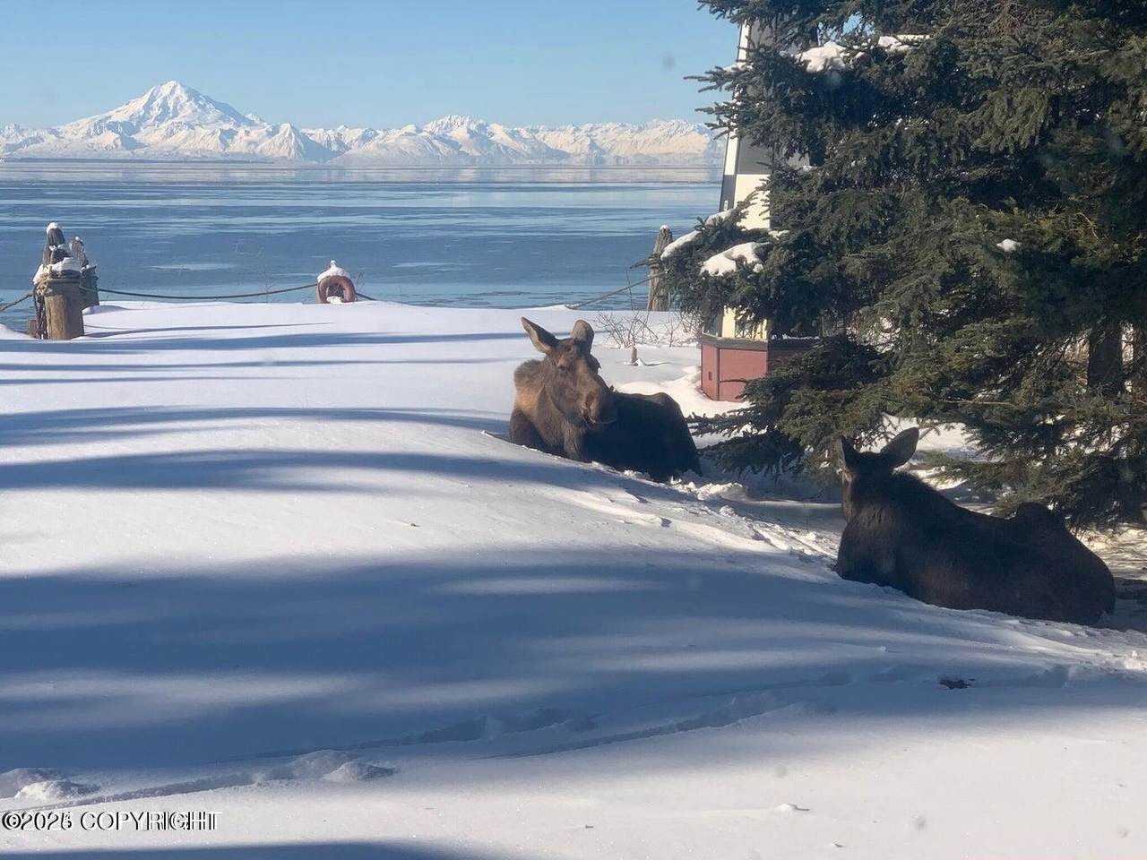 https://bt-photos.global.ssl.fastly.net/alaska/orig_boomver_3_25-202-2.jpg