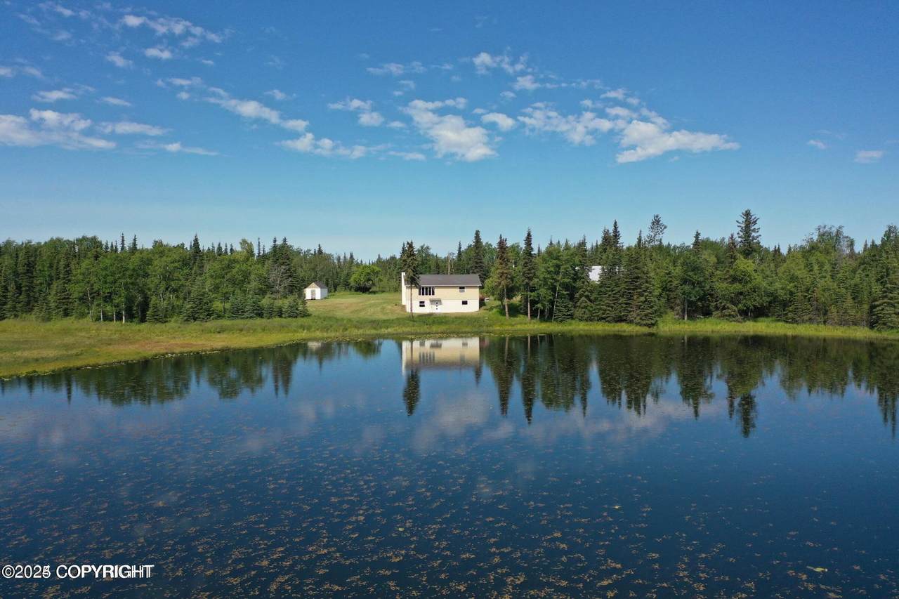 29074 Cohoe Loop Road - Photo 1