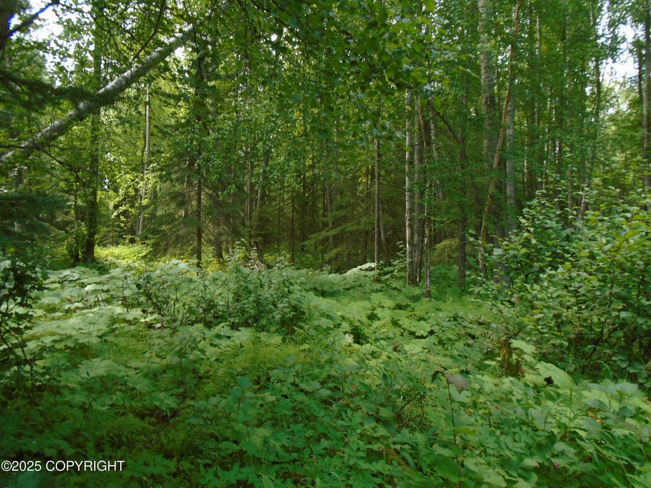 15032 Necrason Drive - Photo 1