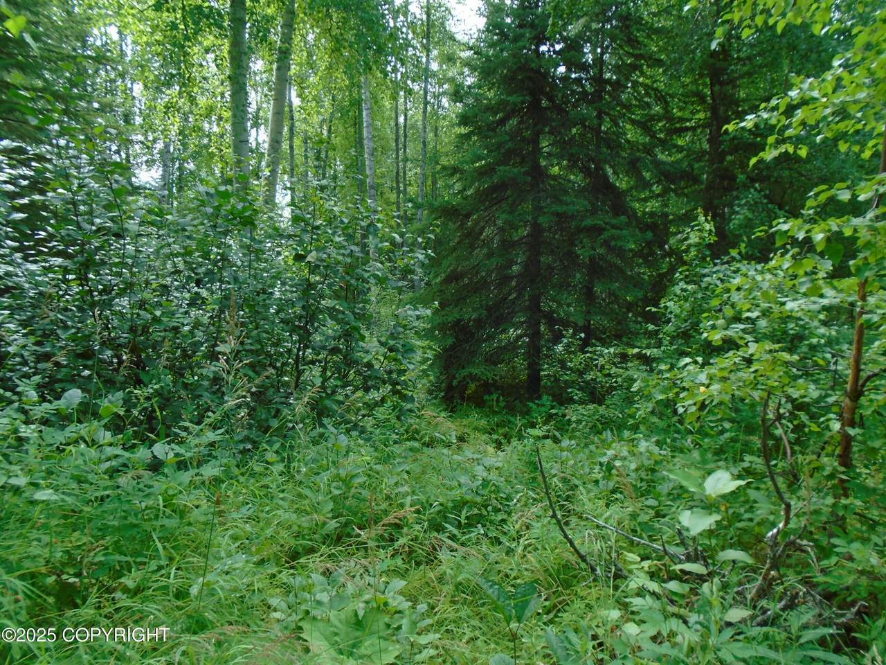 https://bt-photos.global.ssl.fastly.net/alaska/1280_boomver_2_25-7377-2.jpg