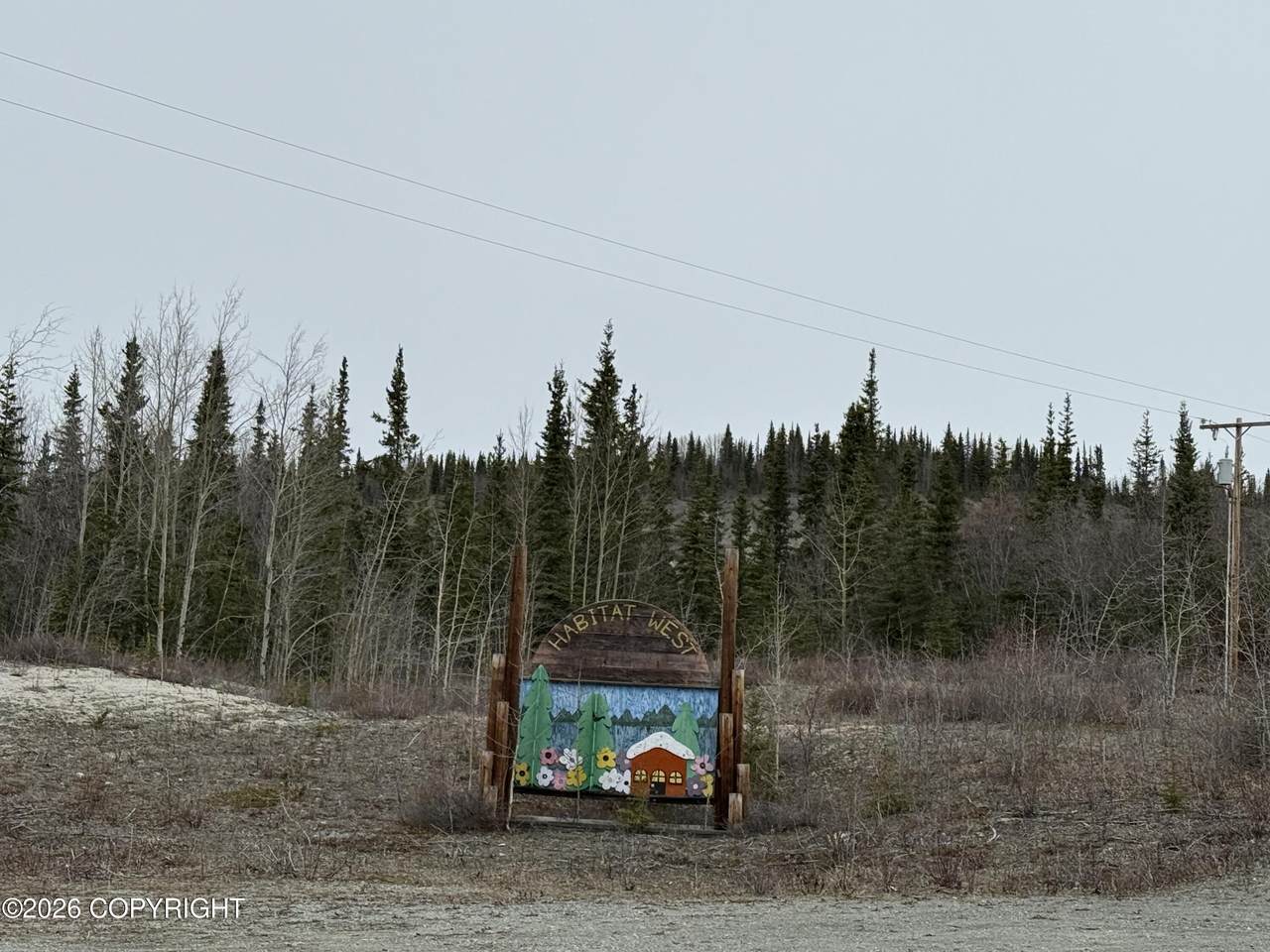 Mi 165 Glenn Highway - Photo 1