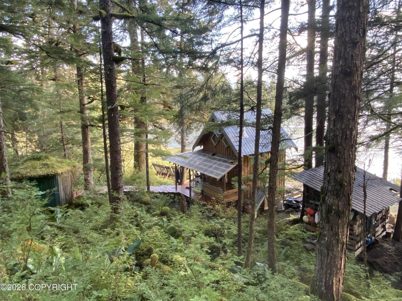 51 Twelve Mile Road - Photo 1