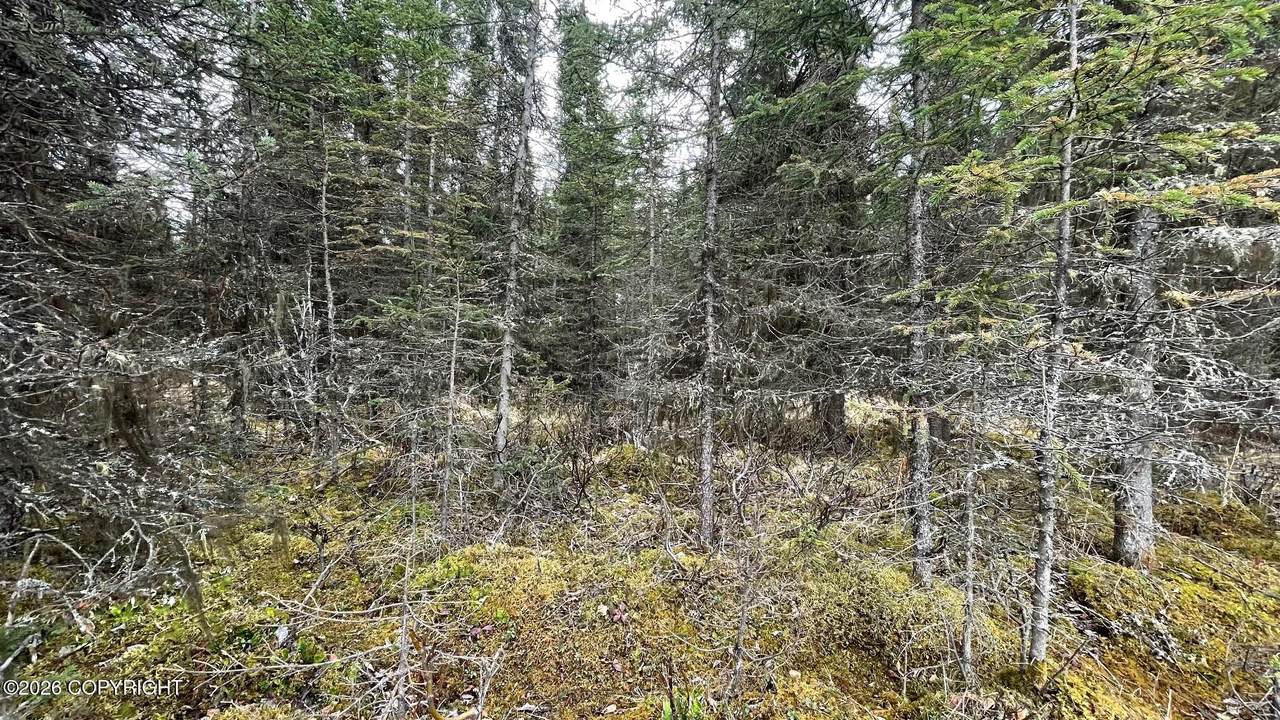 https://bt-photos.global.ssl.fastly.net/alaska/1280_boomver_2_26-5139-2.jpg