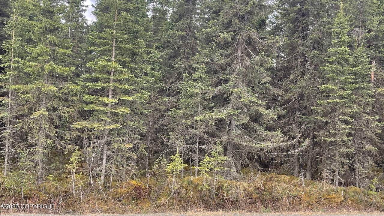 https://bt-photos.global.ssl.fastly.net/alaska/1280_boomver_2_26-5139-2.jpg